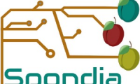 SPONDIA