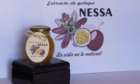 NESSA