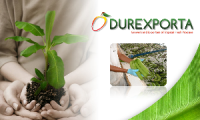 Exportaciones Durexporta, S.A..