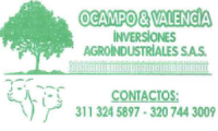 Company