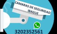 Company