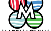 INGENIO & ENTRETENIMIENTO DEPORTIVO SAS