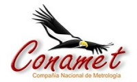 Company