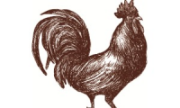 Company