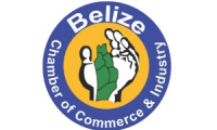 Company