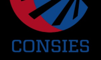 Consies Construcciones y Sistemas Especializados S.A. de C.V.