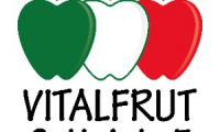 Vitalfrut Chile ltda