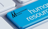 Montiel & Asociados Consultores