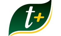 Company