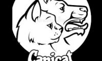 Company