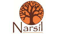 Narsil.sas