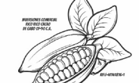 Inversiones Comerciales Rico Rico cacao de Gabo 07-90 c.a.