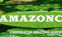 Company