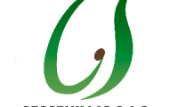 Company