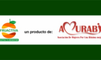 Company