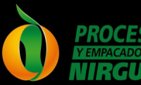 Procesadora y Empacadora de frutas Nirgua
