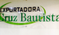 EXPORTADORA CRUZ BAUTISTA