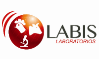 Company