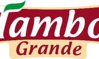 Company