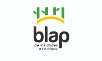 Company