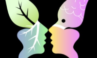 Efecto Mariposa - Tienda Ecológica -