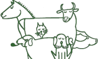 Arca de Noé: Rações e Pet Shop
