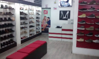 Company