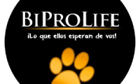 Company