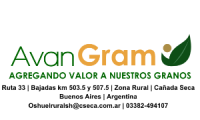 Company