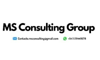 MS Consulting Group