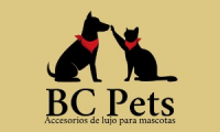 Company