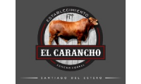 Establecimiento El Carancho