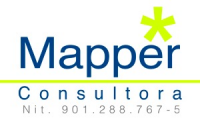 MAPPER CONSULTORA SAS