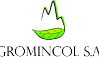 Company