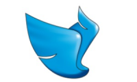 Company