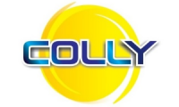 Company