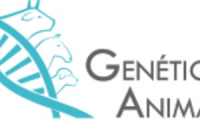 Genetica Animal de Colombia SAS