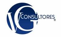 VG Consultores