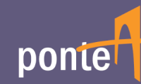 ponteAponte  Empreendedorismo Socioambiental