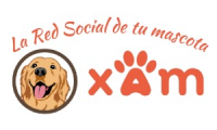 XAM R.S. S.A.S.