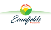 ECUAFIELDS- Ecuadorian Company. Exporters of Yellow Pitahaya, White dragon fruit and more!