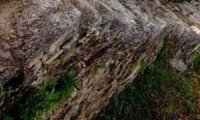 Inka's Peru Tours