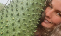 GUANABANA BIG