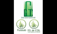 Grupo Gaitan cuevas SAS