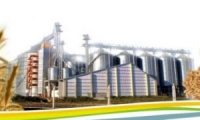 Company