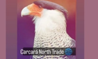 Carcará North Trade