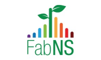 FabNS
