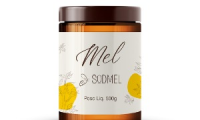 SODMEL