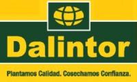 Company