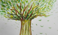 Seed Consulting BPO